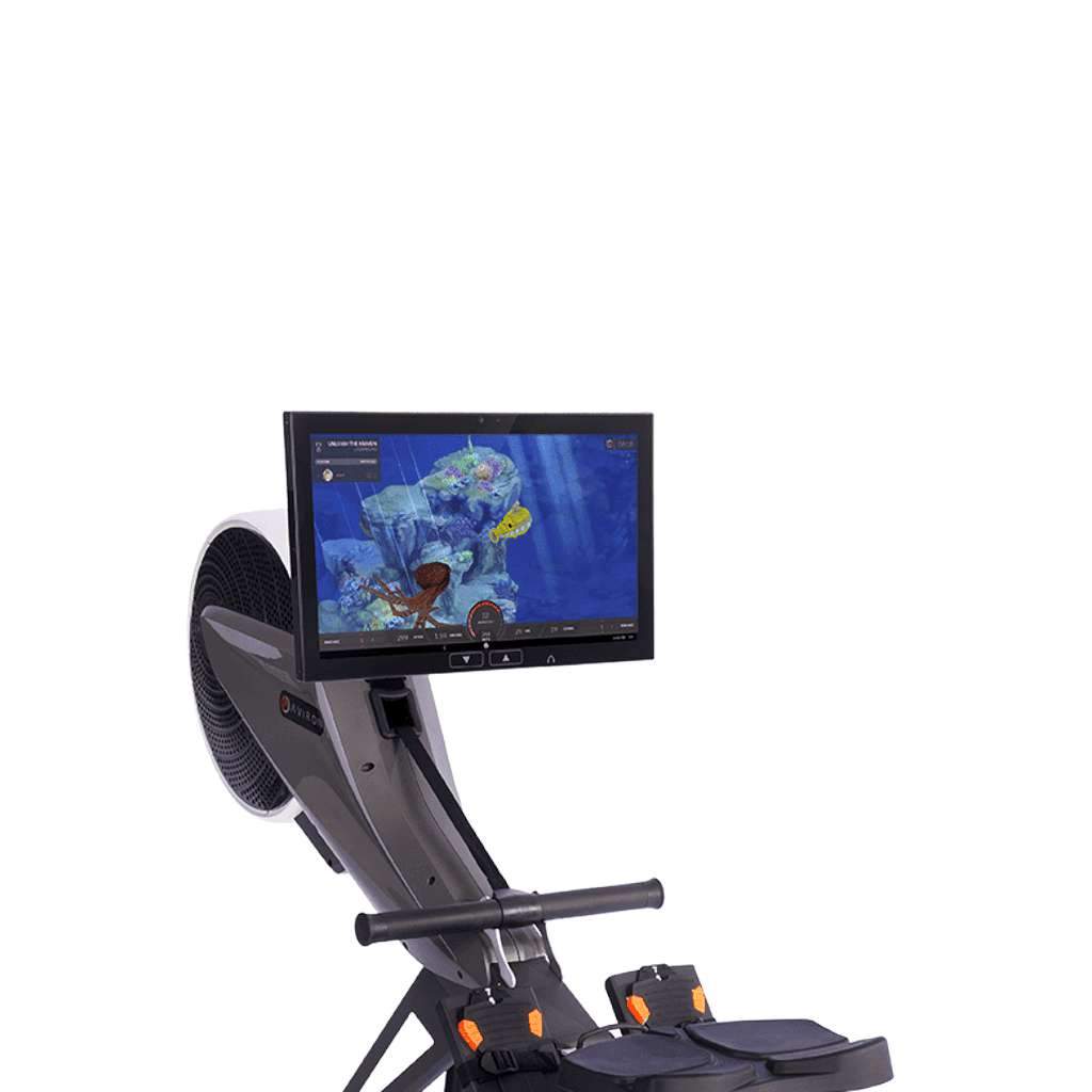 Interactive discount rowing program