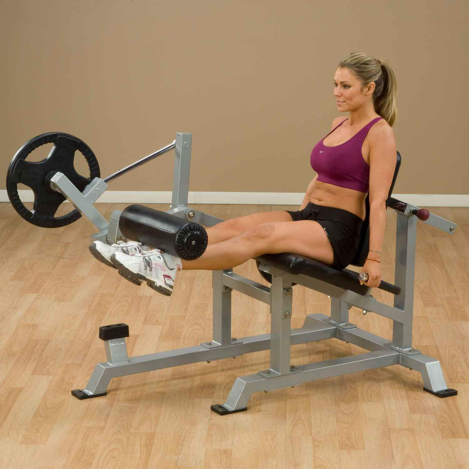 Body-Solid ProClubLine Leverage Leg Extension (LVLE) weight machine Body-Solid 