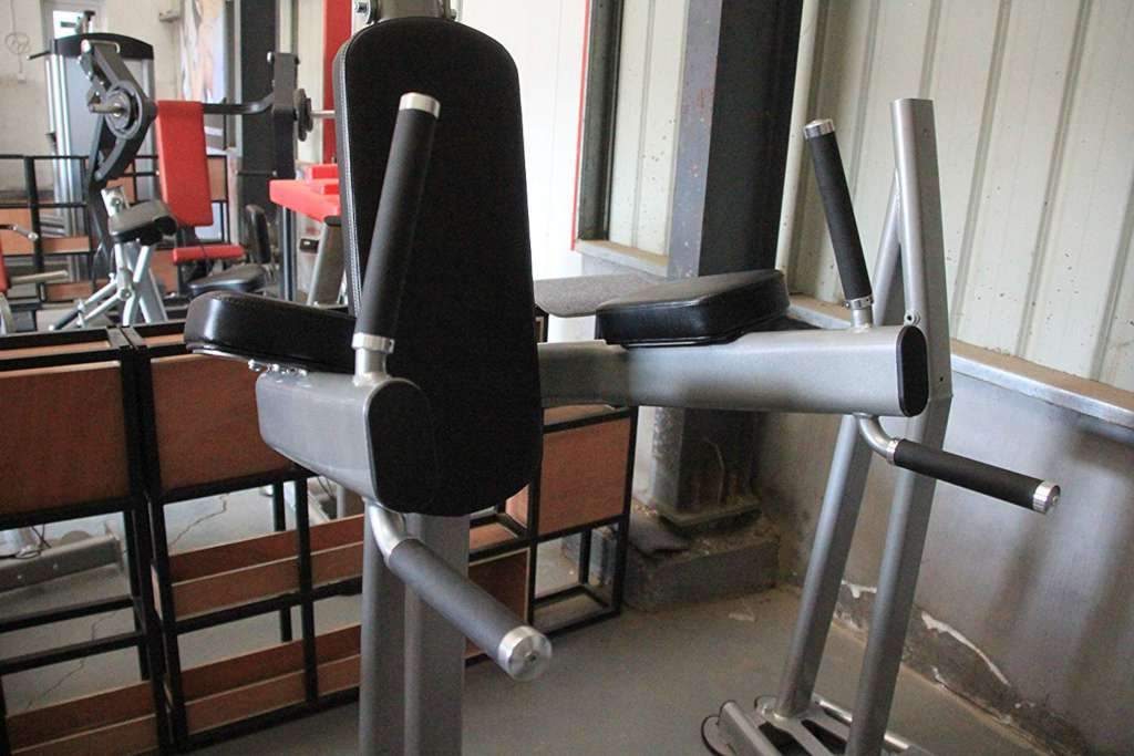 BodyKore Elite Series- Chin Dip Tower- CF2110 bench/rack BodyKore 