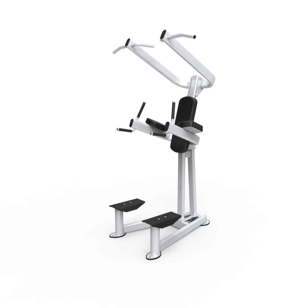 BodyKore Elite Series- Chin Dip Tower- CF2110 bench/rack BodyKore 