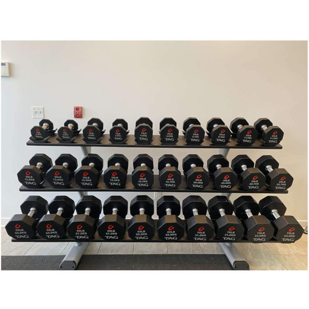 TAG 8-Sided Premium Ultrathane Dumbbell dumbbell TAG Fitness 
